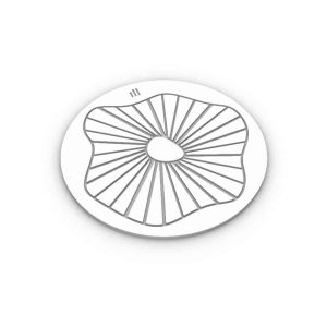 Chablon Iris « expert »