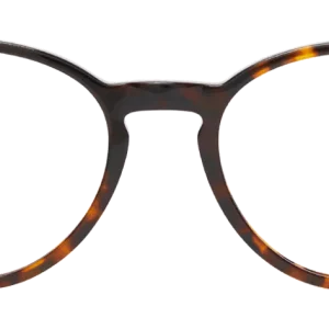 EVAN ECAILLE TRES FONCEE