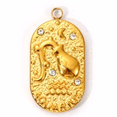 Charms médaille Verseau Astro Strass Blanc